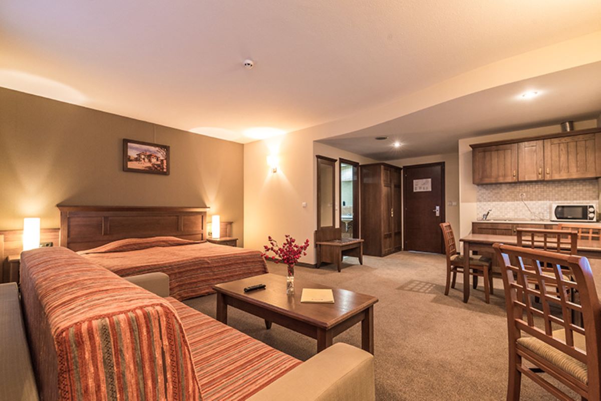 Hotel Lion Bansko - One bedroom apartment - dnevna soba.jpg