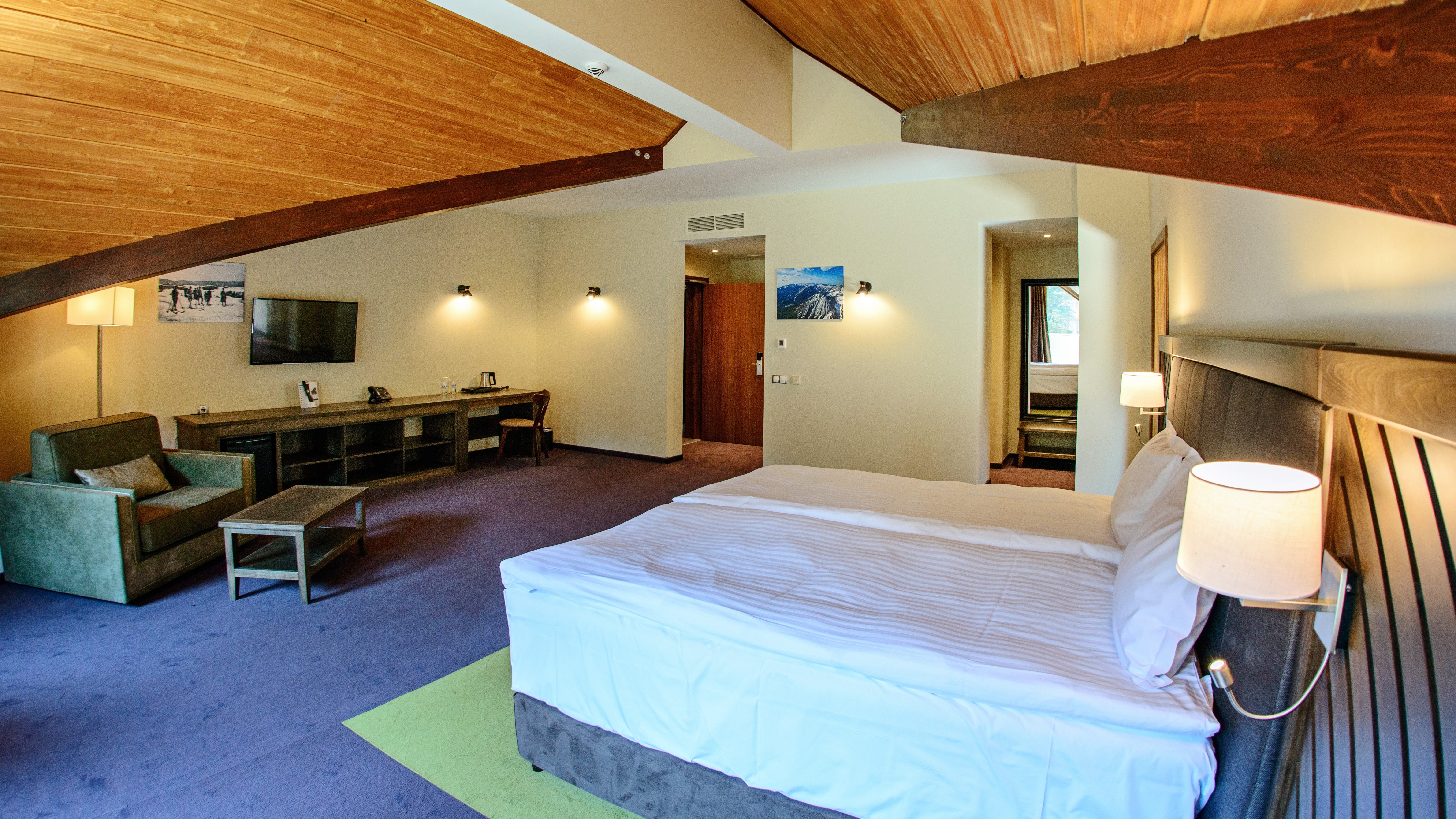 Hot Springs Medical & Spa Hotel-Alpine apartman.jpg