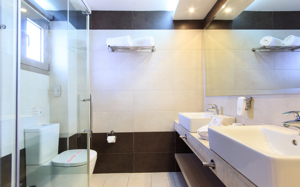 Alea hotel _ suites junior suite  bathroom.jpg